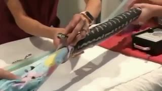 Towel Removed From PYTHONs Mouth