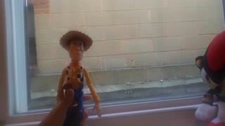 Woody and Shadow convention