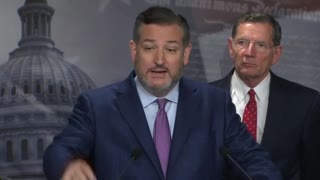 Ted Cruz ANNIHILIATES Democrats for Voting Law Fear Mongering