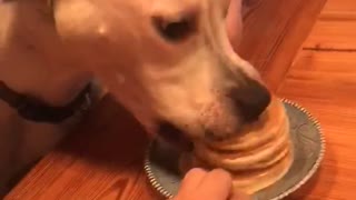 Birthday Pup Love Peanut Butter Pancakes