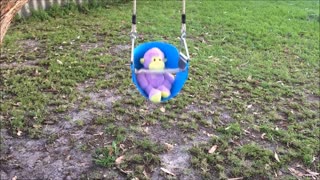 Toddler Swing Seat