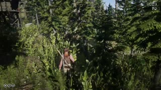 Chasing Grizzly On Red Dead Online