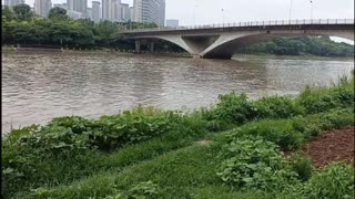 The slow river flows under the bridge
