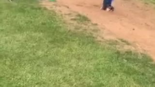 Long Jump Goes Face First