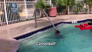 Funny Babies Playing With Water Pool Fails Funny Baby Videos Compilation