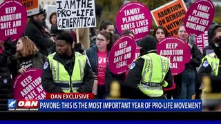 National Director of Priests for Life: This is the most important year of pro-life movement