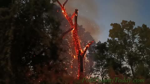 RANDOM TREE FIRE, LIVINGSTON TEXAS, 09/18/23...