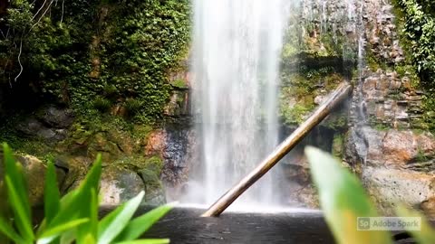 Relaxing video#Beautiful water falls