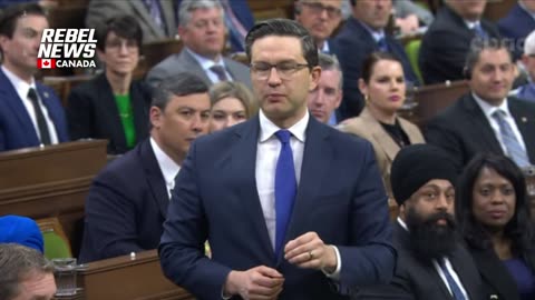 Poilievre calls out Singh for helping Trudeau 'cover up' Chinese election interference