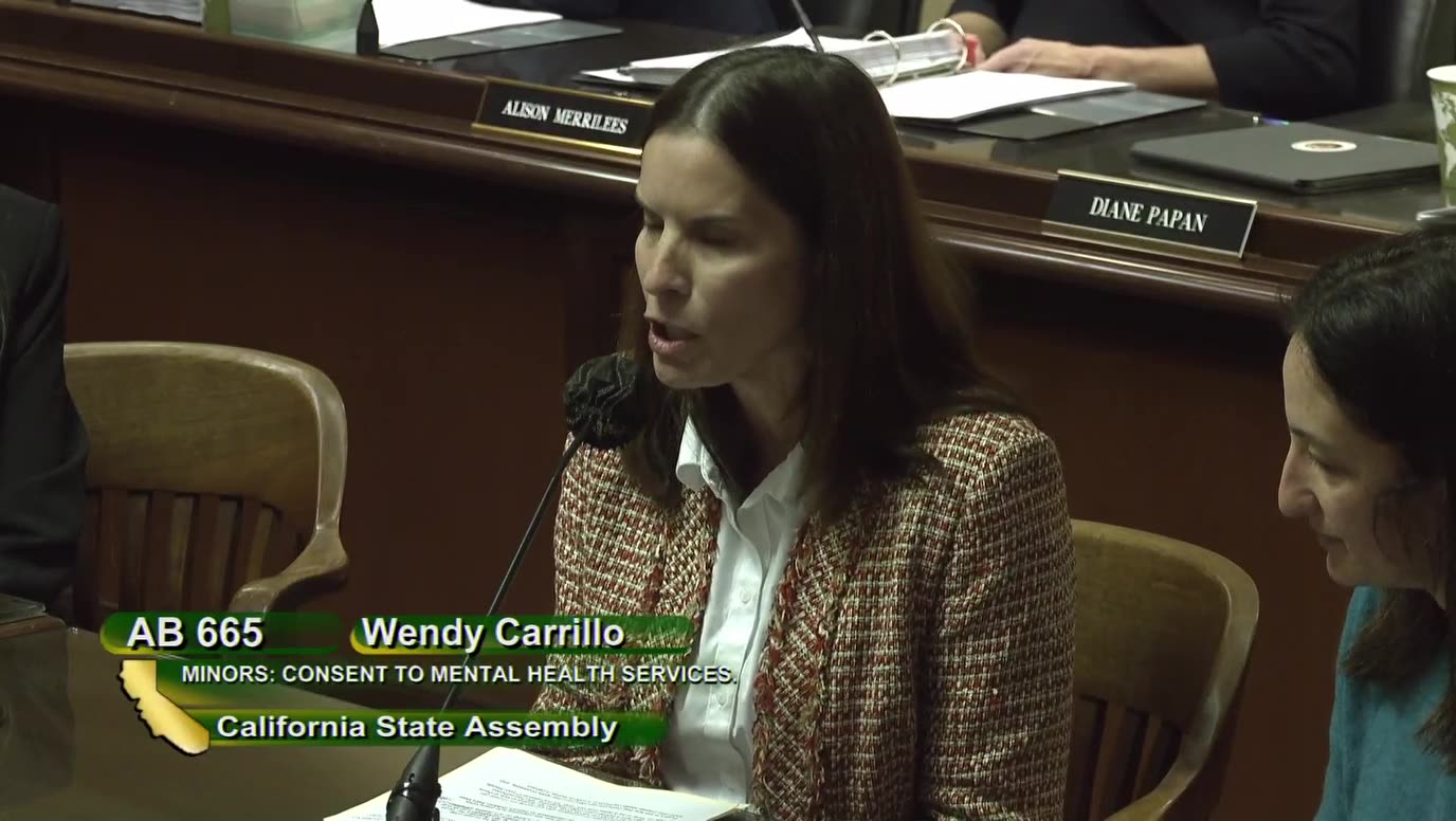 Erin Friday testifies against California’s AB 665 calls it a “state