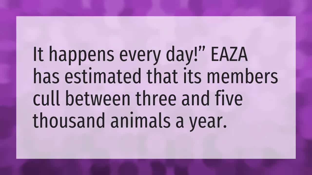 how-many-animals-die-in-zoos-each-year-in-america