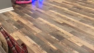 Hoverboard Powered Baby Racing