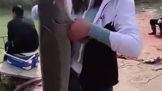 WOW Asian Woman Catches GIANT FISH by accident
