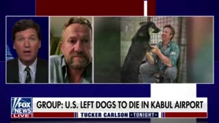 Tucker Carlson talks to a former Royal Marine who rescued animals from Afghanistan