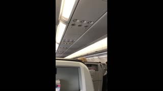 Pilot Threatens To Land Plane Early Due To Passengers Chanting "USA, USA!"