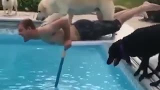 Doggo’s just trying to help 😍