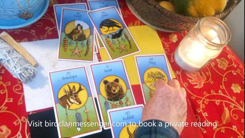 Totem Tuesday - Medicine Card Reading - Crow, Wolf, Frog, Rabbit, Antelope