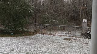First accumulated snow