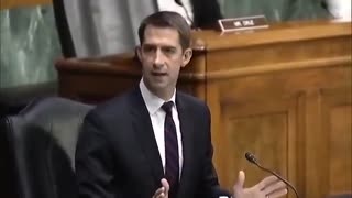 Tom Cotton GOES OFF on Senate Democrats for Their Nonsensical Immigration Views