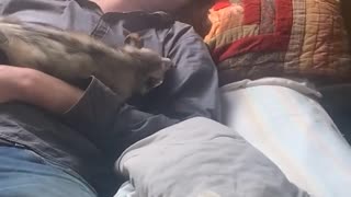 Man Sleeping with a Opossum