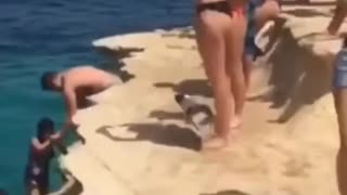 cat directly jumps into water