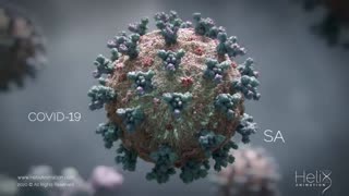 How Corona Virus is Transmitted?