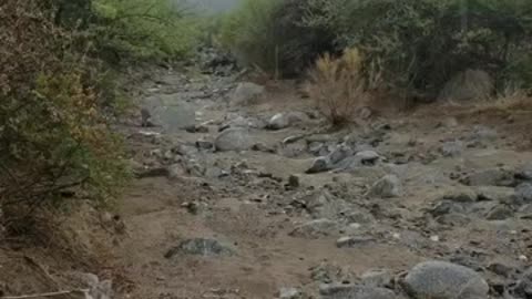 Flash Flooding in Arizona