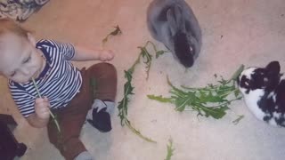 Snack time! Baby sweetly enjoys treats with bunny rabbits