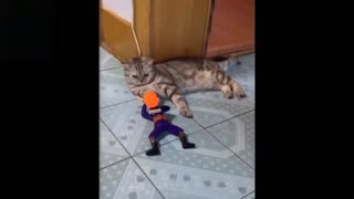 Cute Baby Animals & Funny Pets Video Compilation