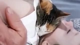 sweet cat sleep with a sweet baby