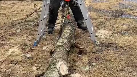Success! Lifting log before cutting