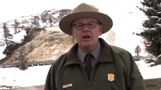 Rumor Control - Yellowstone National Park