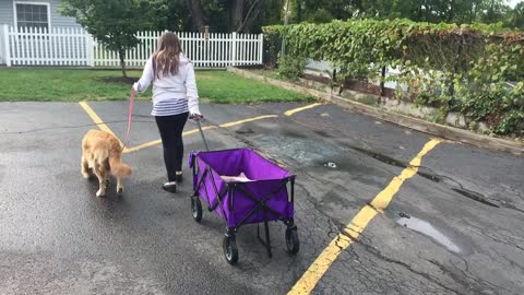 Just a girl and her dog, but wait to see what's in the wagon!