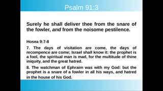 Psalm 91: Divine Protection from Coming Plagues and Disasters