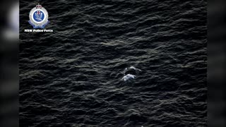 Australian NSW police spot entangled whale