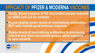 How effective are covid 19 vaccine against variants