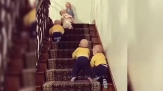 Cute Babies Climbing Stairs