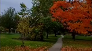 Fall in Canada