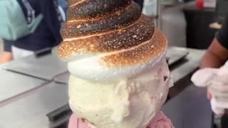 Ice Cream Topped with a Toasted Marshmallow