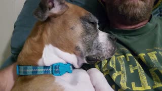 Tired boxer fights to keep her eyes open