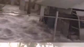 Videos captaron el tsunami en isla de Tonga tras la erupción de volcán submarino
