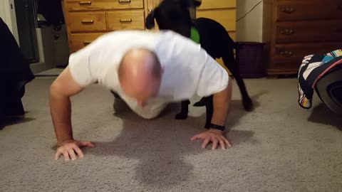 Pup helps owner do push ups