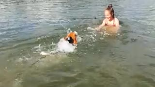 Puppy learns to swim