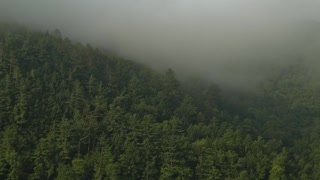 Mountain Fog (Free to Use HD Stock Video Footage)