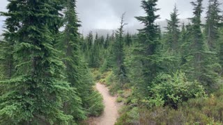 Oregon - Mount Hood - Christmas Tree Alpine Section