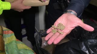 Caleta de droga fue encontrada por la Policía en Piedecuesta