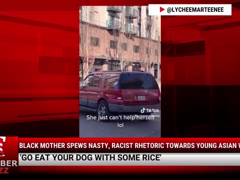 Video: Black Mother Spews Nasty, Racist Rhetoric Towards Young Asian Woman