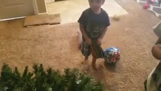 Kid gets upset when mom takes down the Christmas tree