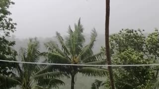 Cyclone yasa 2