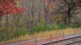 Lehigh Valley Scenic Railway in Fall